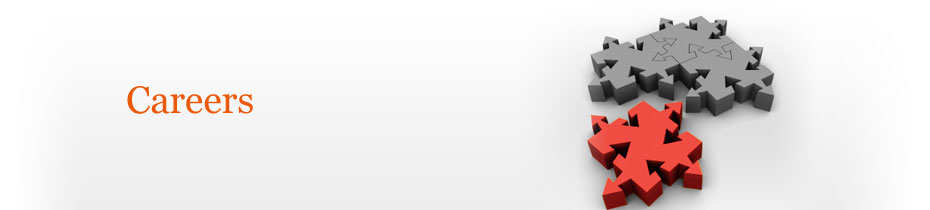 Mirror IT Solutions Inc