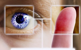 Mirror IT Solutions Inc